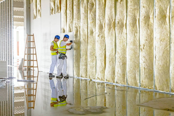 Best Insulation Maintenance and Repair in Weston, NJ